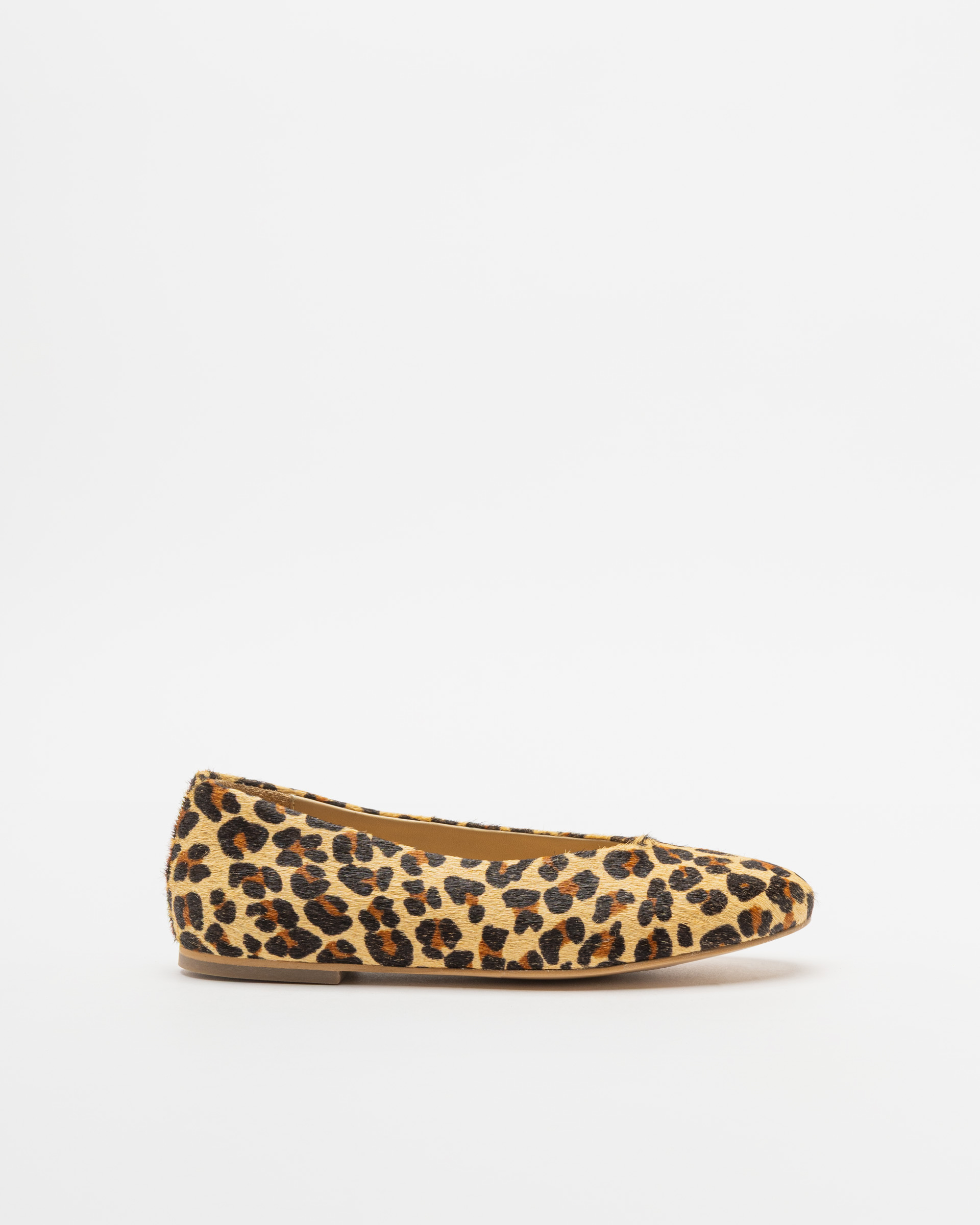 Sabrinas PROF 25SW808/02 Leopardo