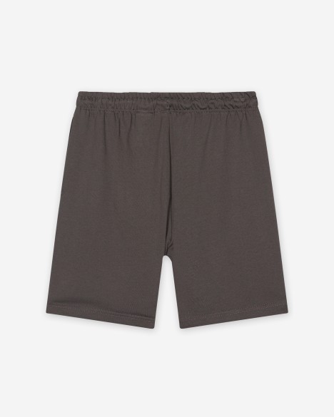 The North Face Shorts