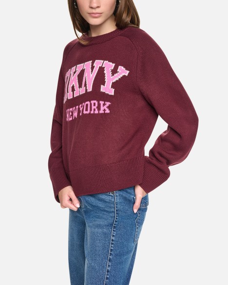 Pullover DKNY Jeans
